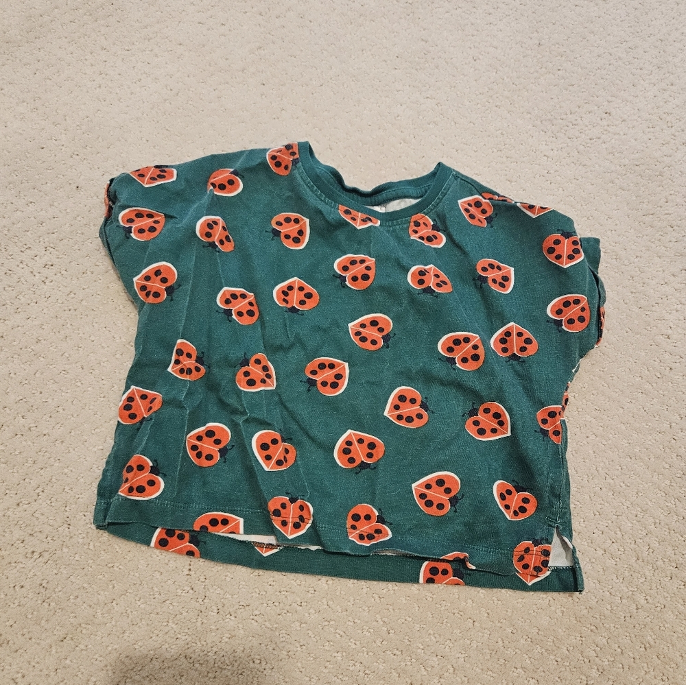 Hanna Andersson 4T Ladybug shirt